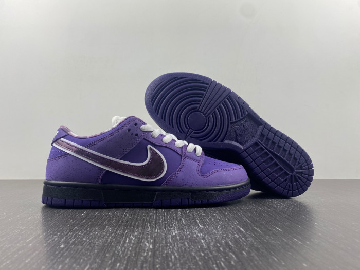 concepts x dunk low sb 