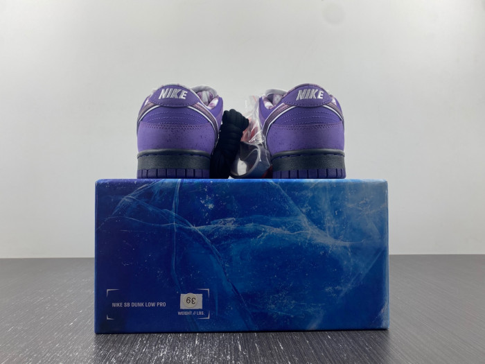 concepts x dunk low sb 